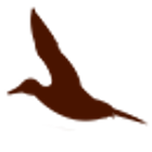 shop-luganalemorette.it