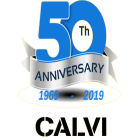 soccorsostradalecalvi.it