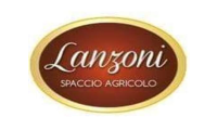 spacciocarnilanzoni.it