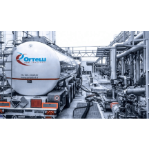 spedizioni-adr-ortellisrl.it