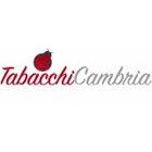tabacchicambria.com