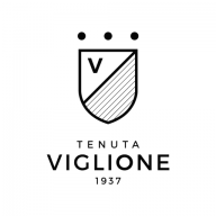 viglioneresort.com