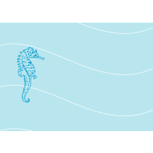 weisskopf-sanitaer.ch