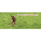 wolfsblut-tierfutter.ch